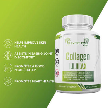 Collagen I,II,III,V,X